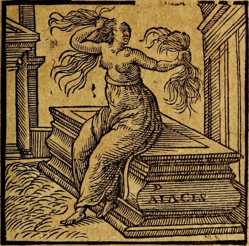 An illustration from Emblemata V.C. Andreae Alciati Mediolanensis iurisconsulti : cum facili & compendiosa explicatione, qua obscura illustrantur, dubiaq́ue omnia soluuntur,, 1622, leaf 70