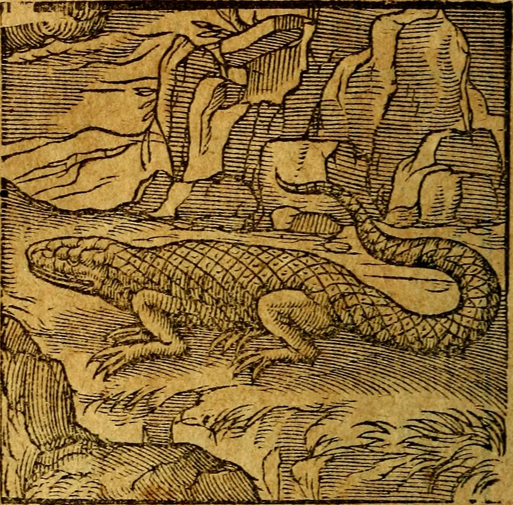 An illustration from Emblemata V.C. Andreae Alciati Mediolanensis iurisconsulti : cum facili & compendiosa explicatione, qua obscura illustrantur, dubiaq́ue omnia soluuntur,, 1622, leaf 71
