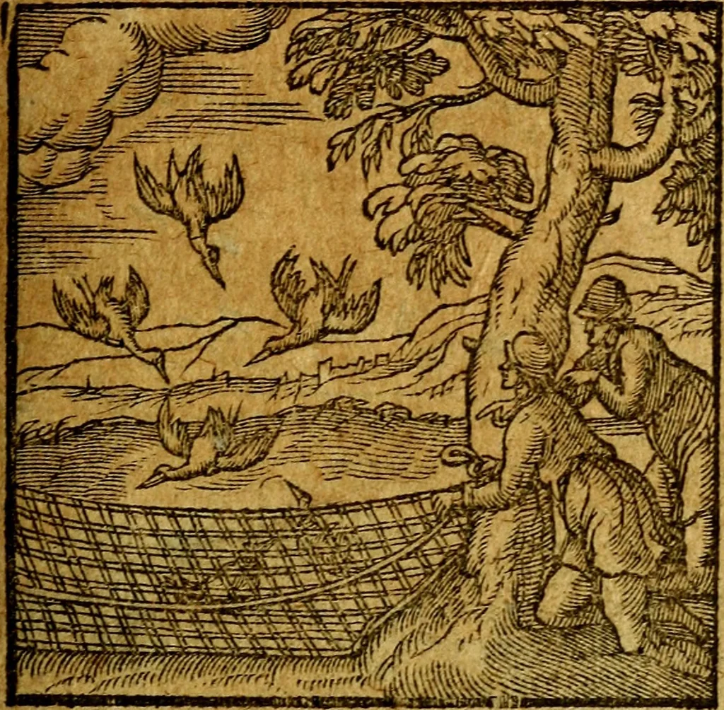 An illustration from Emblemata V.C. Andreae Alciati Mediolanensis iurisconsulti : cum facili & compendiosa explicatione, qua obscura illustrantur, dubiaq́ue omnia soluuntur,, 1622, leaf 72