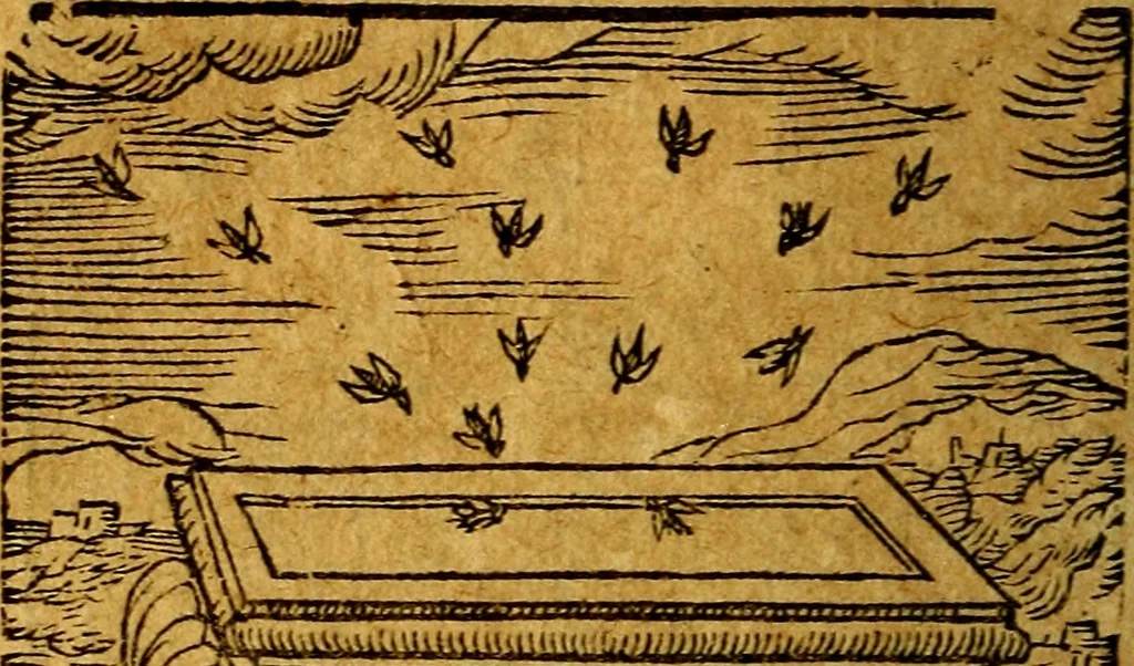 An illustration from Emblemata V.C. Andreae Alciati Mediolanensis iurisconsulti : cum facili & compendiosa explicatione, qua obscura illustrantur, dubiaq́ue omnia soluuntur,, 1622, leaf 73
