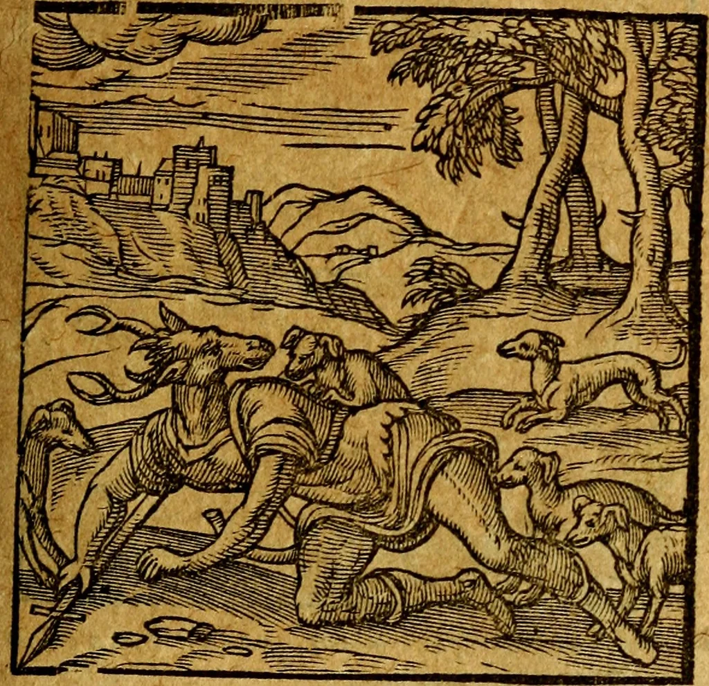 An illustration from Emblemata V.C. Andreae Alciati Mediolanensis iurisconsulti : cum facili & compendiosa explicatione, qua obscura illustrantur, dubiaq́ue omnia soluuntur,, 1622, leaf 74