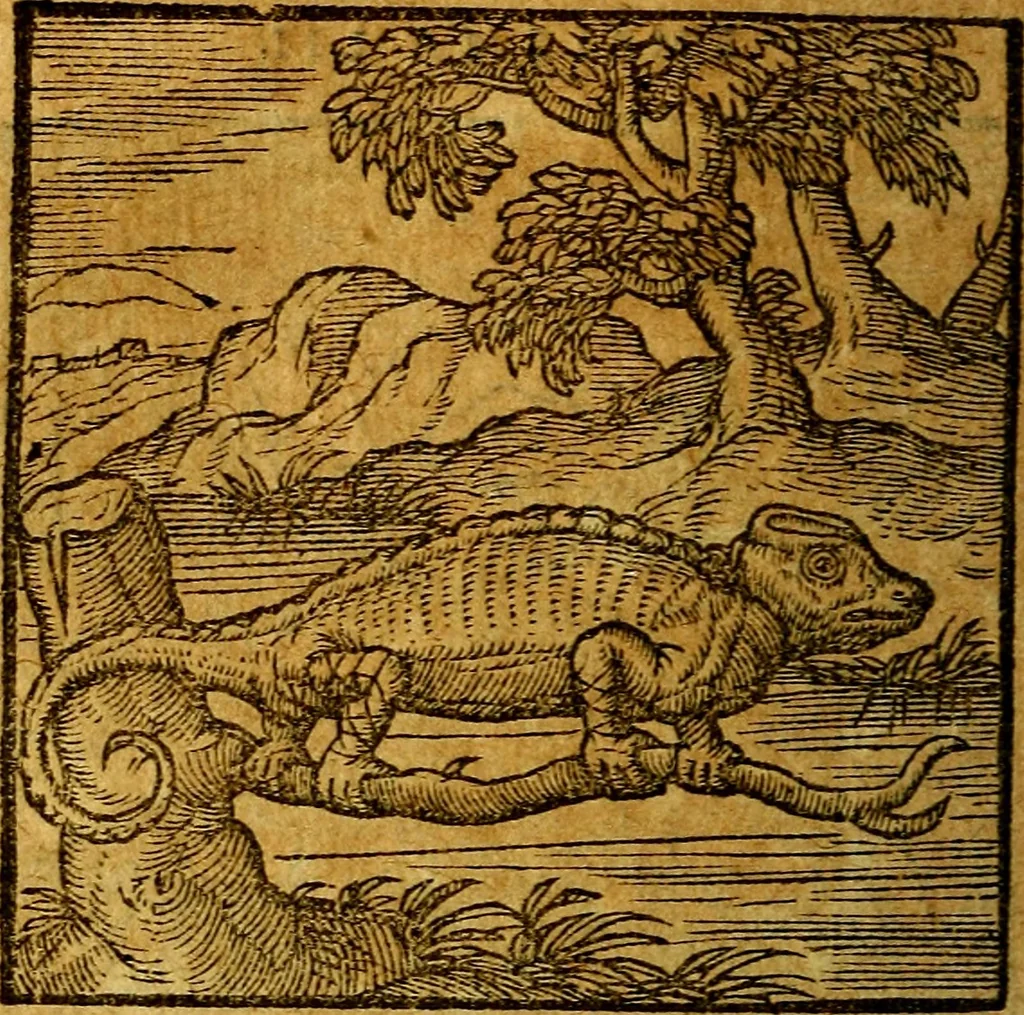 An illustration from Emblemata V.C. Andreae Alciati Mediolanensis iurisconsulti : cum facili & compendiosa explicatione, qua obscura illustrantur, dubiaq́ue omnia soluuntur,, 1622, leaf 75