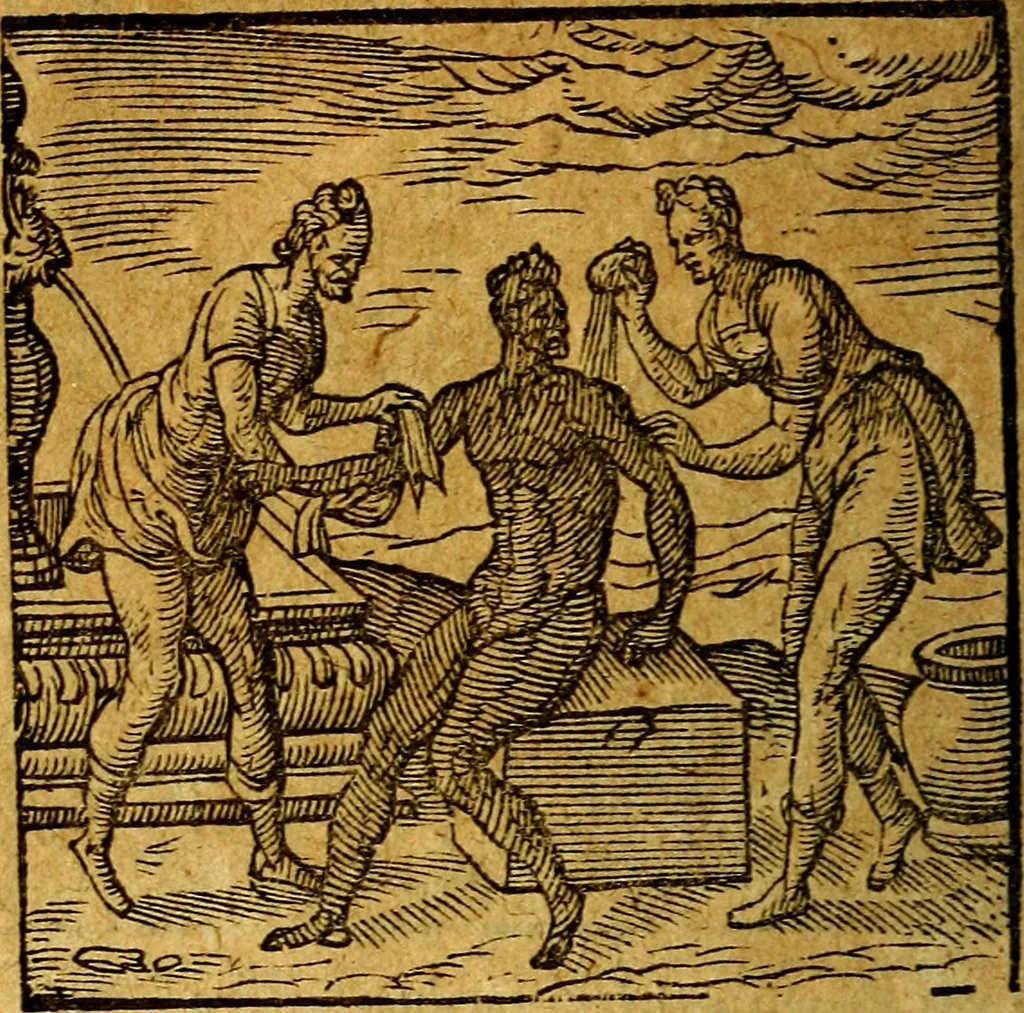 An illustration from Emblemata V.C. Andreae Alciati Mediolanensis iurisconsulti : cum facili & compendiosa explicatione, qua obscura illustrantur, dubiaq́ue omnia soluuntur,, 1622, leaf 81