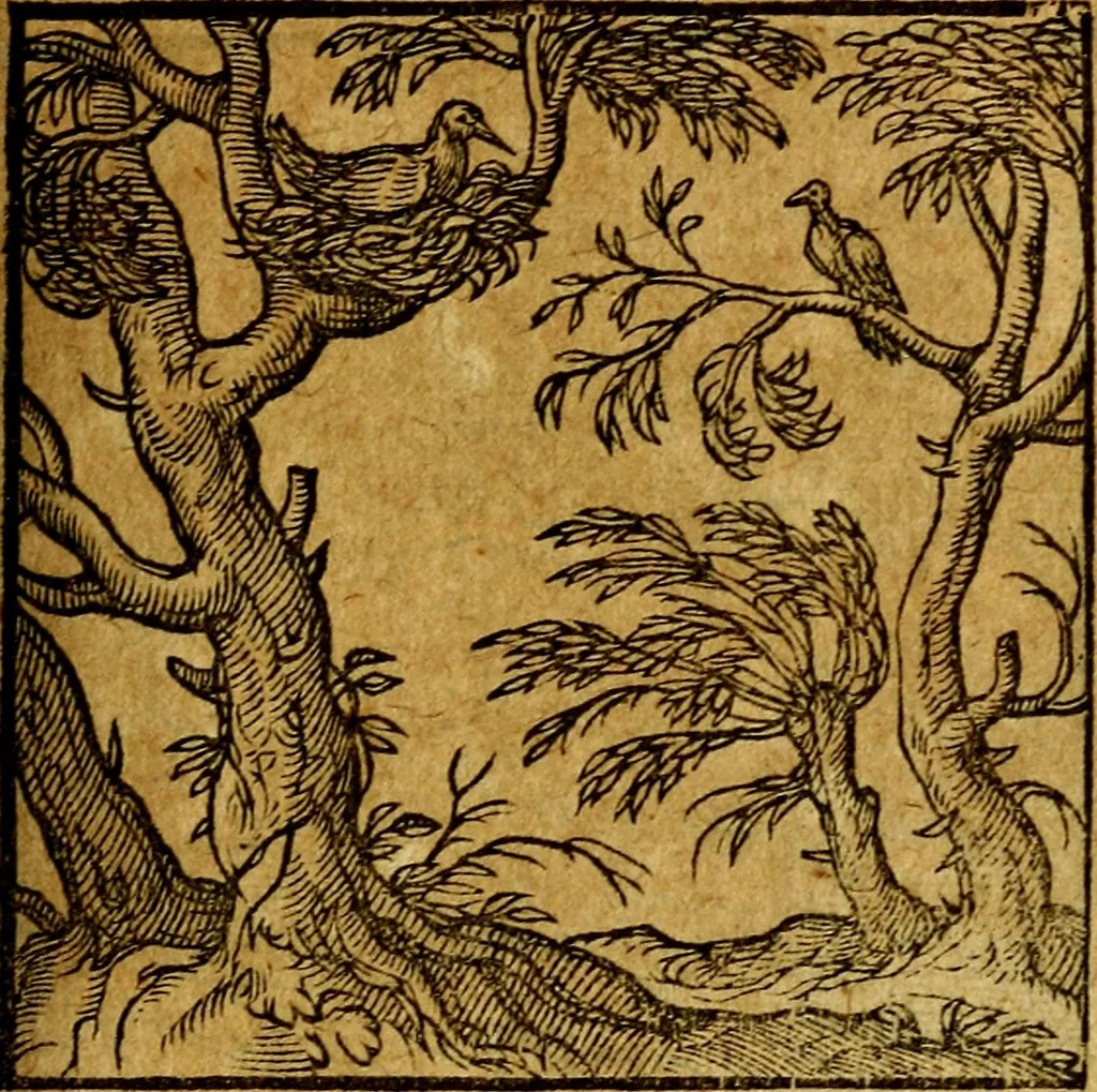An illustration from Emblemata V.C. Andreae Alciati Mediolanensis iurisconsulti : cum facili & compendiosa explicatione, qua obscura illustrantur, dubiaq́ue omnia soluuntur,, 1622, leaf 82