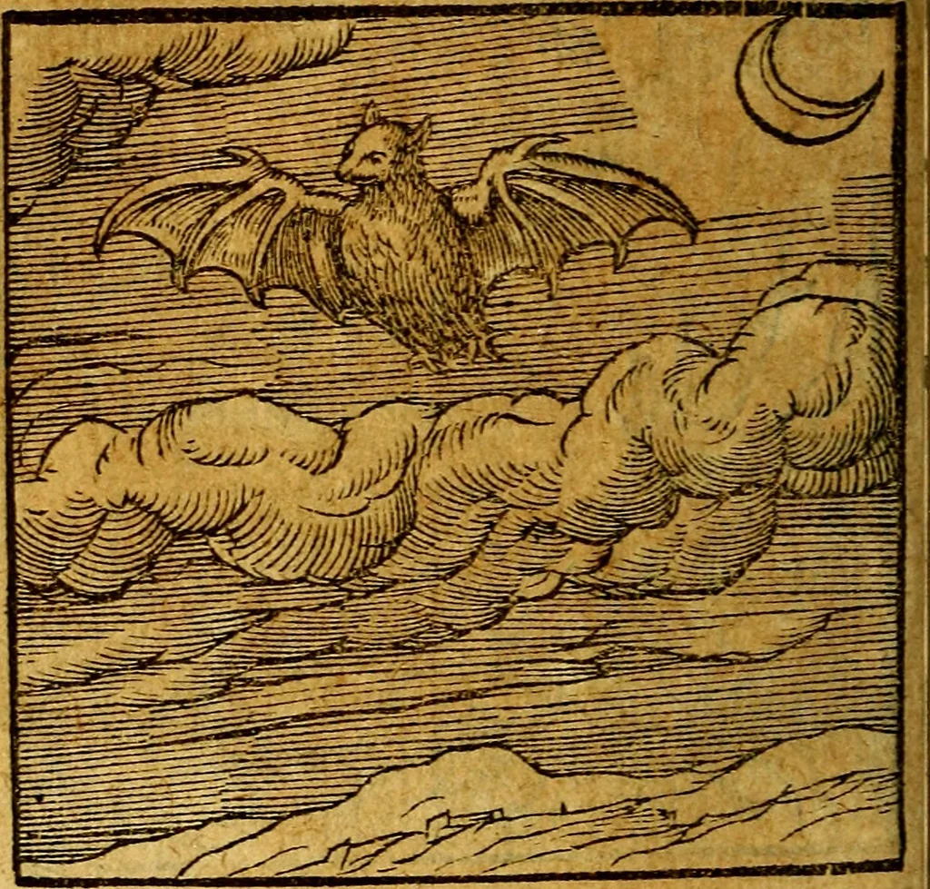 An illustration from Emblemata V.C. Andreae Alciati Mediolanensis iurisconsulti : cum facili & compendiosa explicatione, qua obscura illustrantur, dubiaq́ue omnia soluuntur,, 1622, leaf 83
