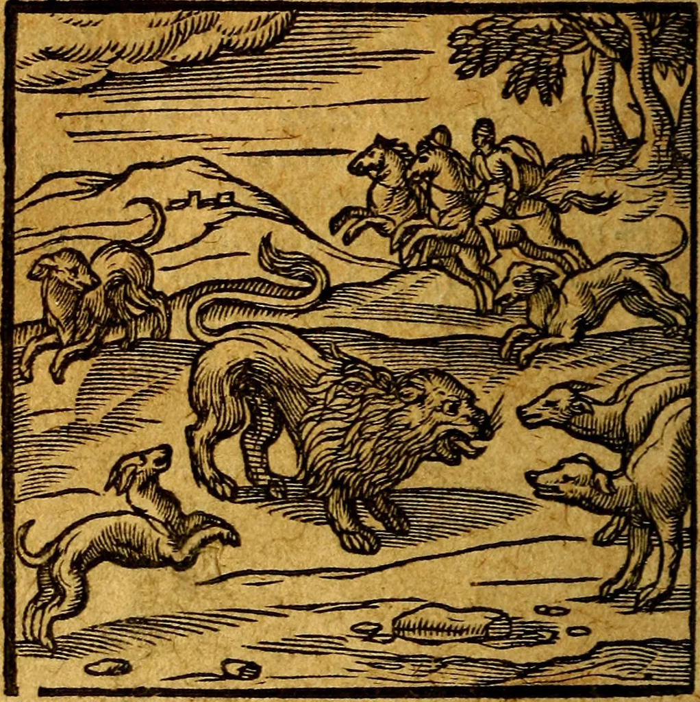 An illustration from Emblemata V.C. Andreae Alciati Mediolanensis iurisconsulti : cum facili & compendiosa explicatione, qua obscura illustrantur, dubiaq́ue omnia soluuntur,, 1622, leaf 85