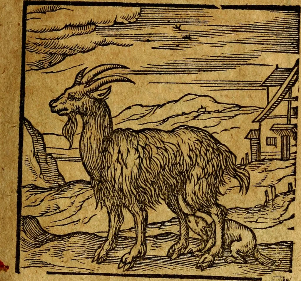 An illustration from Emblemata V.C. Andreae Alciati Mediolanensis iurisconsulti : cum facili & compendiosa explicatione, qua obscura illustrantur, dubiaq́ue omnia soluuntur,, 1622, leaf 86