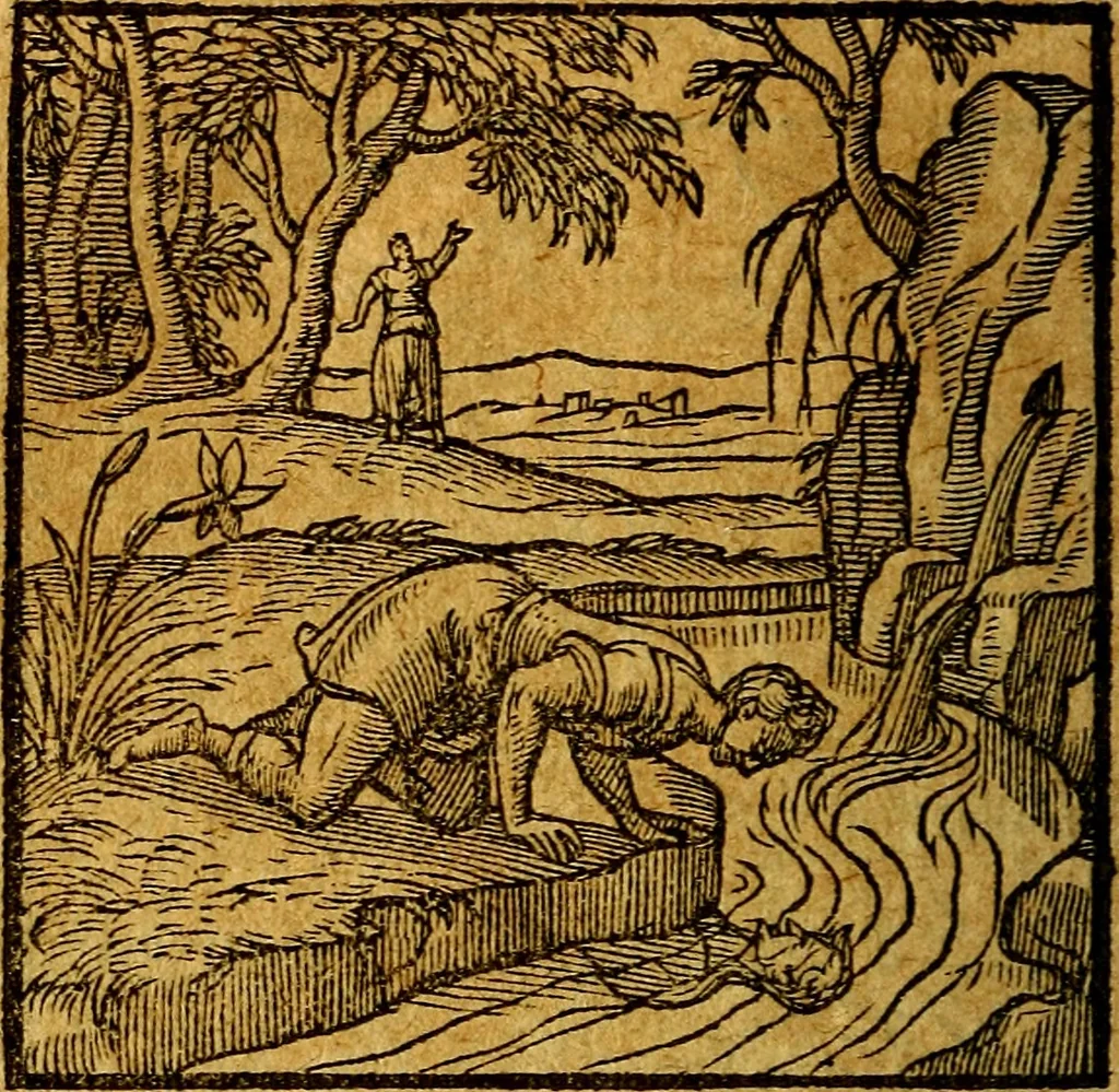 An illustration from Emblemata V.C. Andreae Alciati Mediolanensis iurisconsulti : cum facili & compendiosa explicatione, qua obscura illustrantur, dubiaq́ue omnia soluuntur,, 1622, leaf 91