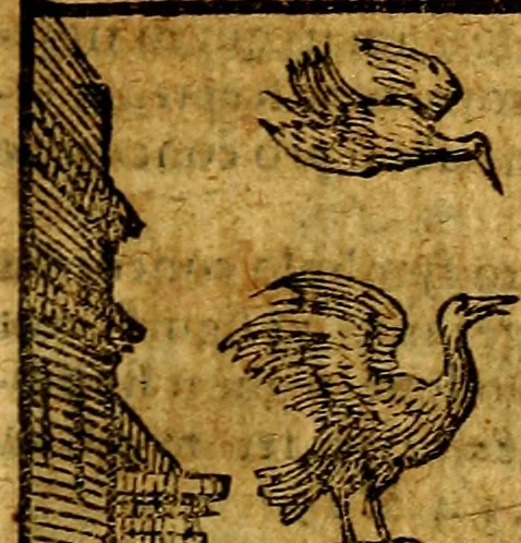 An illustration from Emblemata v. c. Andreae Alciati Mediolanensis iurisconsulti : cum facili & compe[n]diosa explicatione, qua obscura illustrantur, dubiáque omnia solvuntur, 1584, leaf 100