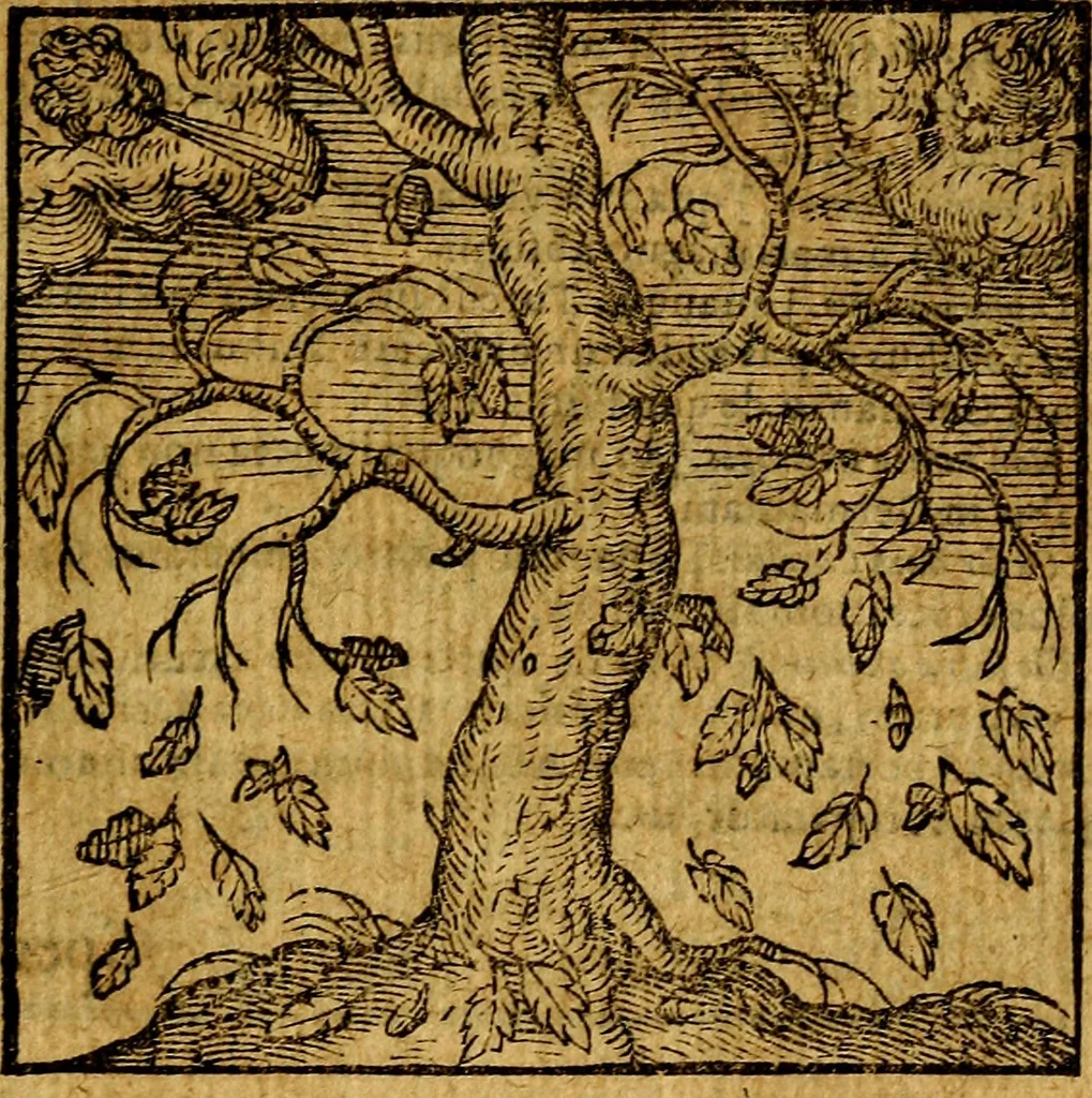An illustration from Emblemata v. c. Andreae Alciati Mediolanensis iurisconsulti : cum facili & compe[n]diosa explicatione, qua obscura illustrantur, dubiáque omnia solvuntur, 1584, leaf 108