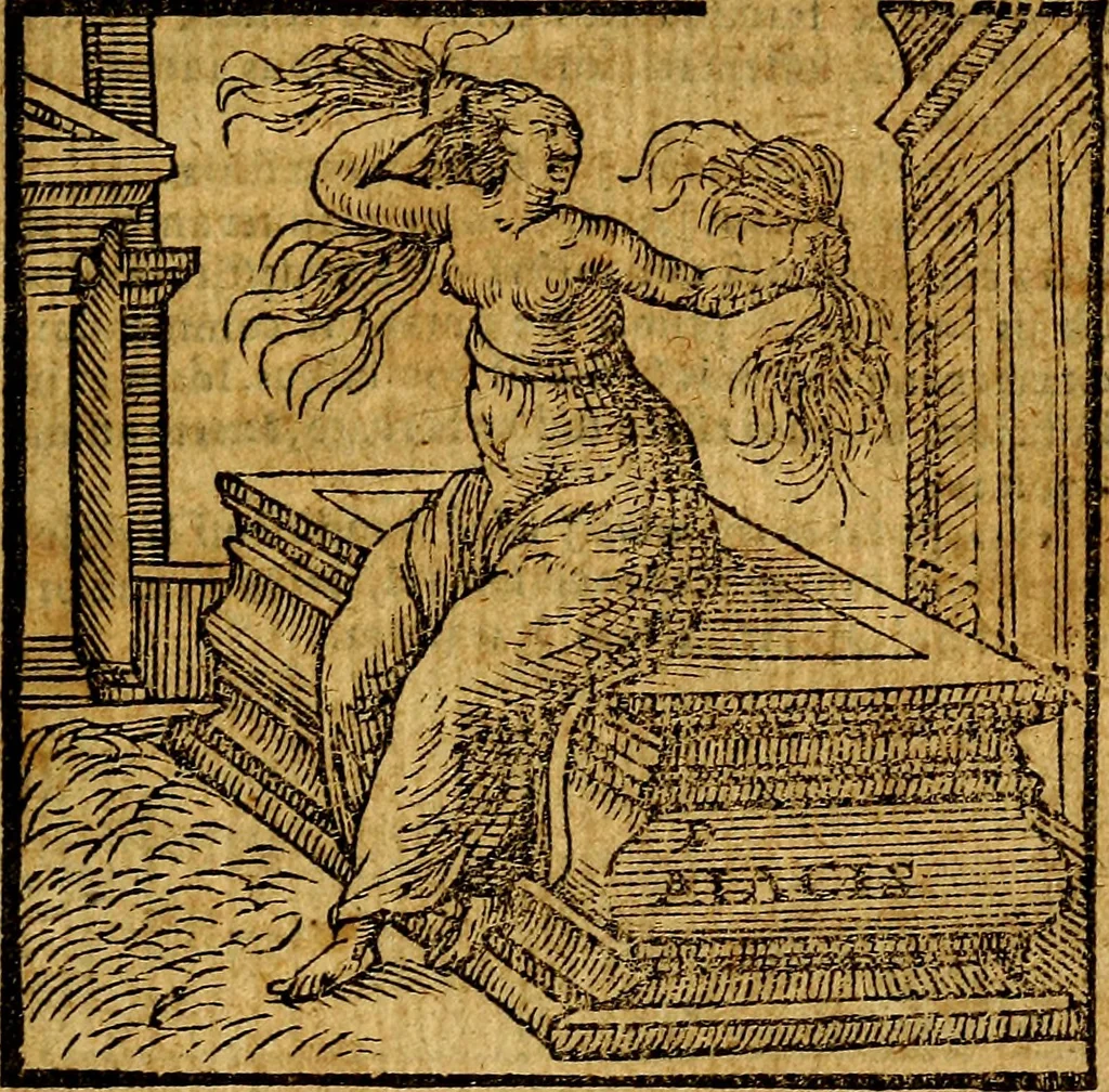 An illustration from Emblemata v. c. Andreae Alciati Mediolanensis iurisconsulti : cum facili & compe[n]diosa explicatione, qua obscura illustrantur, dubiáque omnia solvuntur, 1584, leaf 120