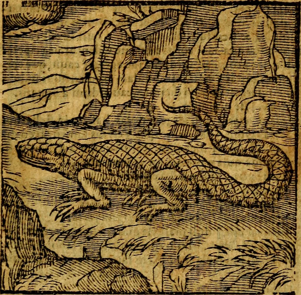 An illustration from Emblemata v. c. Andreae Alciati Mediolanensis iurisconsulti : cum facili & compe[n]diosa explicatione, qua obscura illustrantur, dubiáque omnia solvuntur, 1584, leaf 122