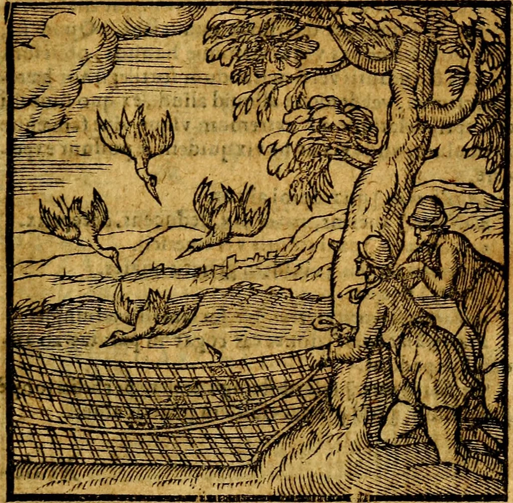 An illustration from Emblemata v. c. Andreae Alciati Mediolanensis iurisconsulti : cum facili & compe[n]diosa explicatione, qua obscura illustrantur, dubiáque omnia solvuntur, 1584, leaf 124