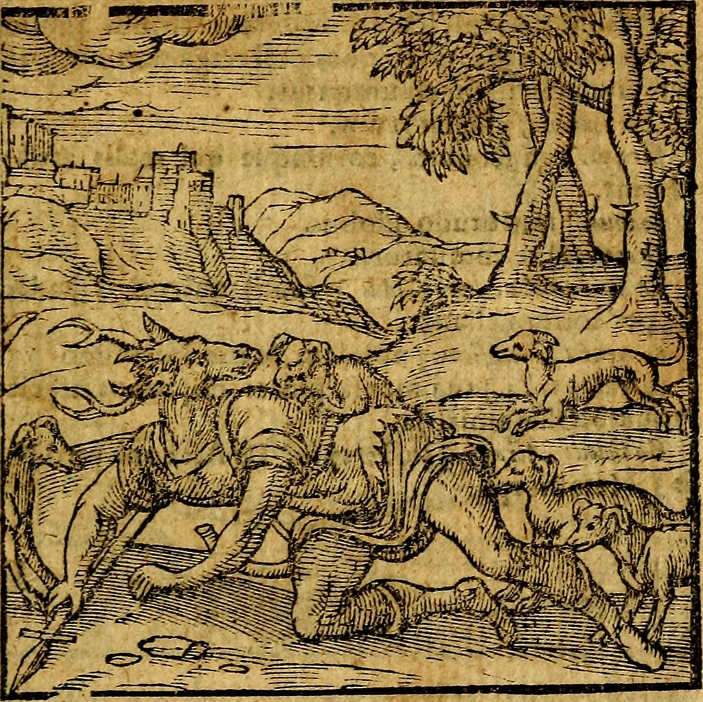An illustration from Emblemata v. c. Andreae Alciati Mediolanensis iurisconsulti : cum facili & compe[n]diosa explicatione, qua obscura illustrantur, dubiáque omnia solvuntur, 1584, leaf 128