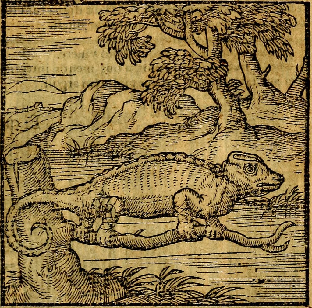 An illustration from Emblemata v. c. Andreae Alciati Mediolanensis iurisconsulti : cum facili & compe[n]diosa explicatione, qua obscura illustrantur, dubiáque omnia solvuntur, 1584, leaf 130