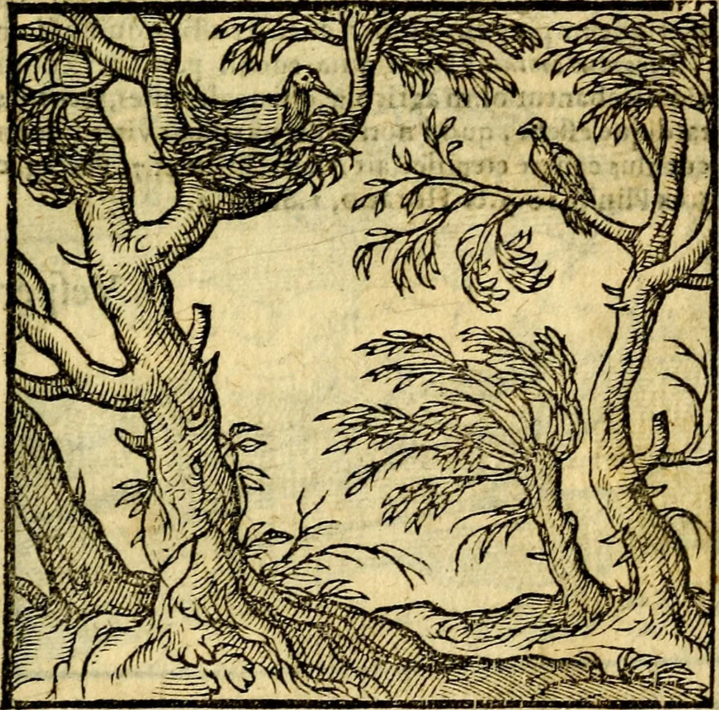 An illustration from Emblemata v. c. Andreae Alciati Mediolanensis iurisconsulti : cum facili & compe[n]diosa explicatione, qua obscura illustrantur, dubiáque omnia solvuntur, 1584, leaf 144