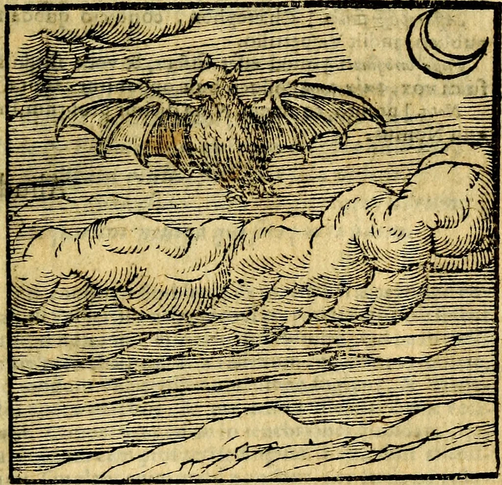 An illustration from Emblemata v. c. Andreae Alciati Mediolanensis iurisconsulti : cum facili & compe[n]diosa explicatione, qua obscura illustrantur, dubiáque omnia solvuntur, 1584, leaf 146