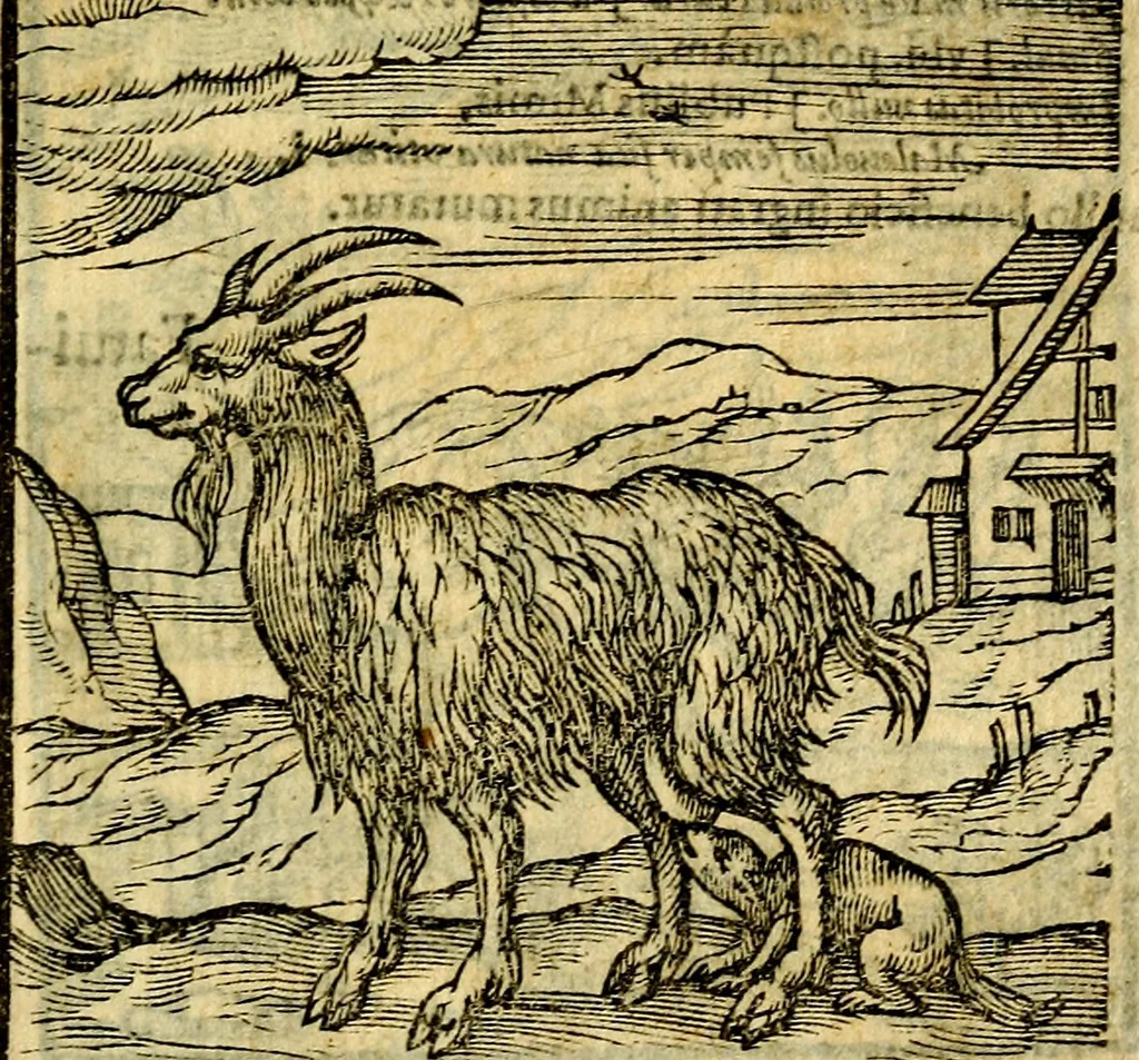 An illustration from Emblemata v. c. Andreae Alciati Mediolanensis iurisconsulti : cum facili & compe[n]diosa explicatione, qua obscura illustrantur, dubiáque omnia solvuntur, 1584, leaf 152