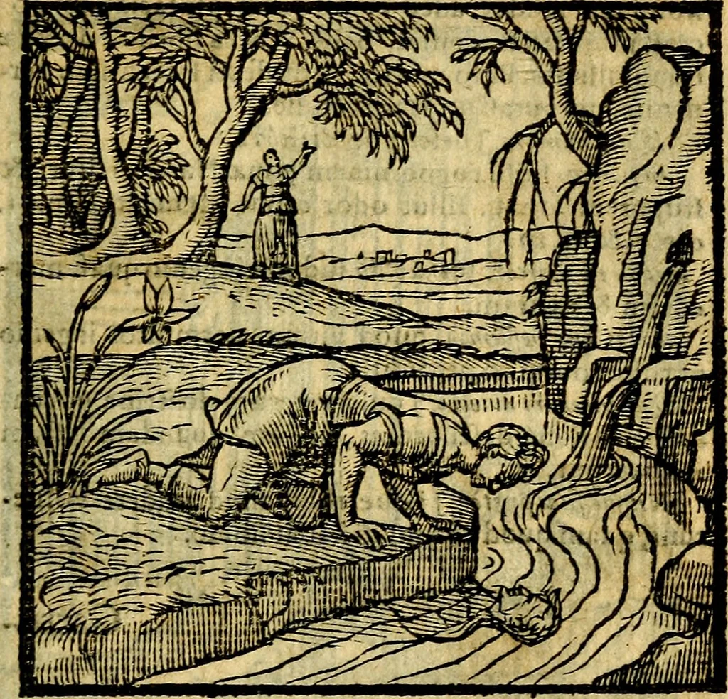 An illustration from Emblemata v. c. Andreae Alciati Mediolanensis iurisconsulti : cum facili & compe[n]diosa explicatione, qua obscura illustrantur, dubiáque omnia solvuntur, 1584, leaf 162