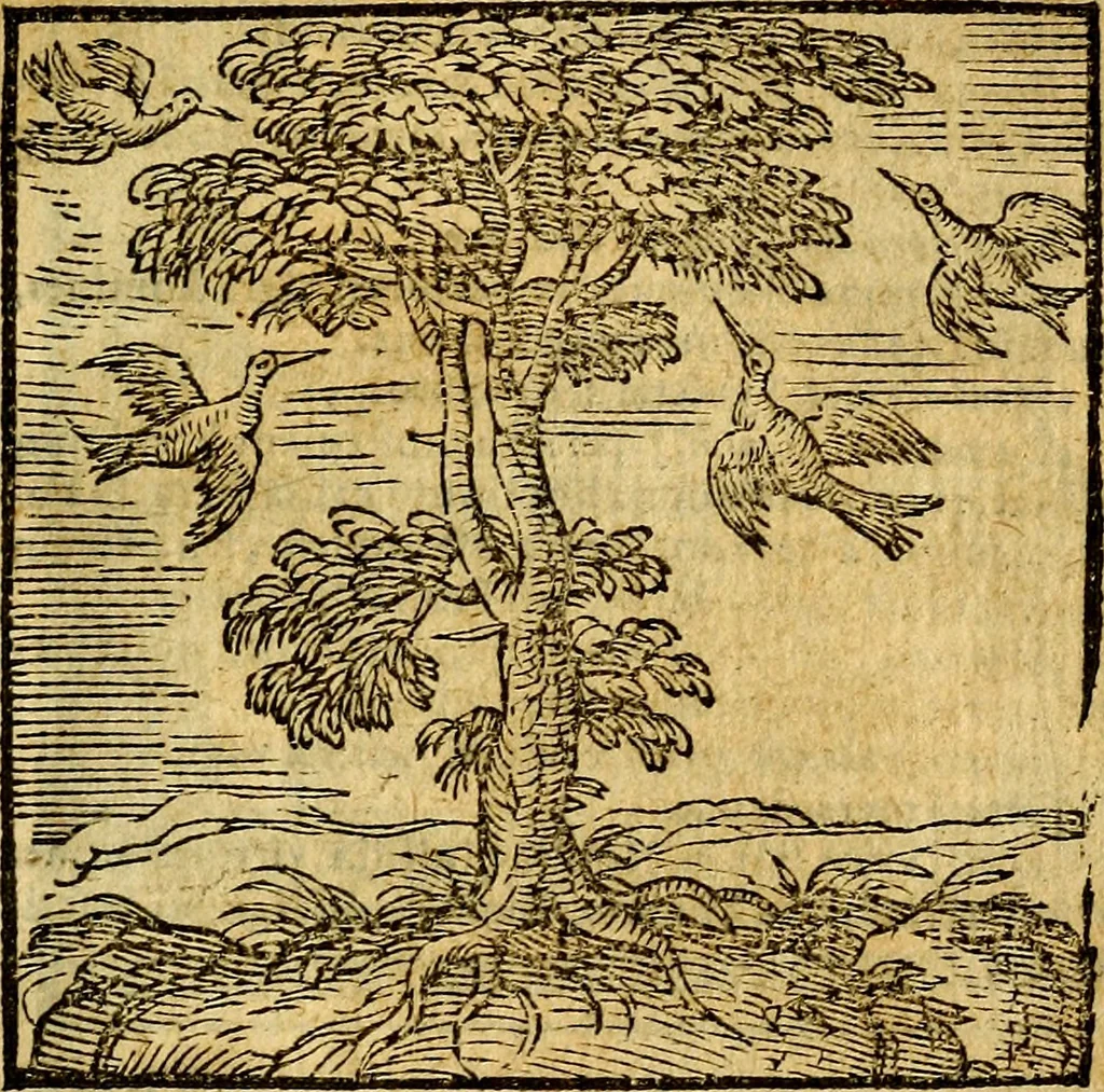 An illustration from Emblemata v. c. Andreae Alciati Mediolanensis iurisconsulti : cum facili & compe[n]diosa explicatione, qua obscura illustrantur, dubiáque omnia solvuntur, 1584, leaf 170