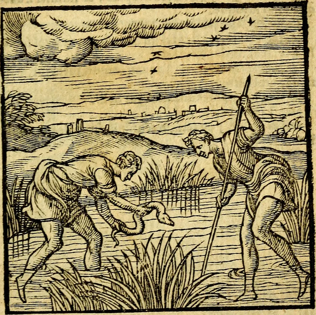 An illustration from Emblemata v. c. Andreae Alciati Mediolanensis iurisconsulti : cum facili & compe[n]diosa explicatione, qua obscura illustrantur, dubiáque omnia solvuntur, 1584, leaf 200