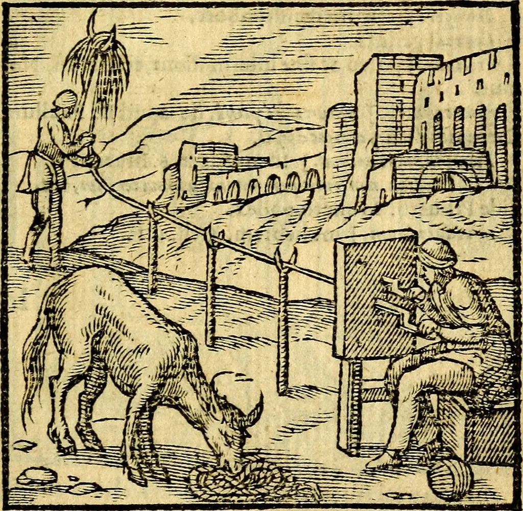 An illustration from Emblemata v. c. Andreae Alciati Mediolanensis iurisconsulti : cum facili & compe[n]diosa explicatione, qua obscura illustrantur, dubiáque omnia solvuntur, 1584, leaf 206