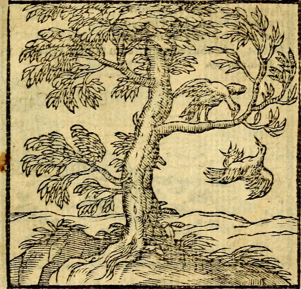 An illustration from Emblemata v. c. Andreae Alciati Mediolanensis iurisconsulti : cum facili & compe[n]diosa explicatione, qua obscura illustrantur, dubiáque omnia solvuntur, 1584, leaf 210