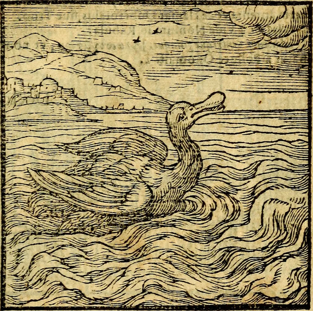 An illustration from Emblemata v. c. Andreae Alciati Mediolanensis iurisconsulti : cum facili & compe[n]diosa explicatione, qua obscura illustrantur, dubiáque omnia solvuntur, 1584, leaf 214
