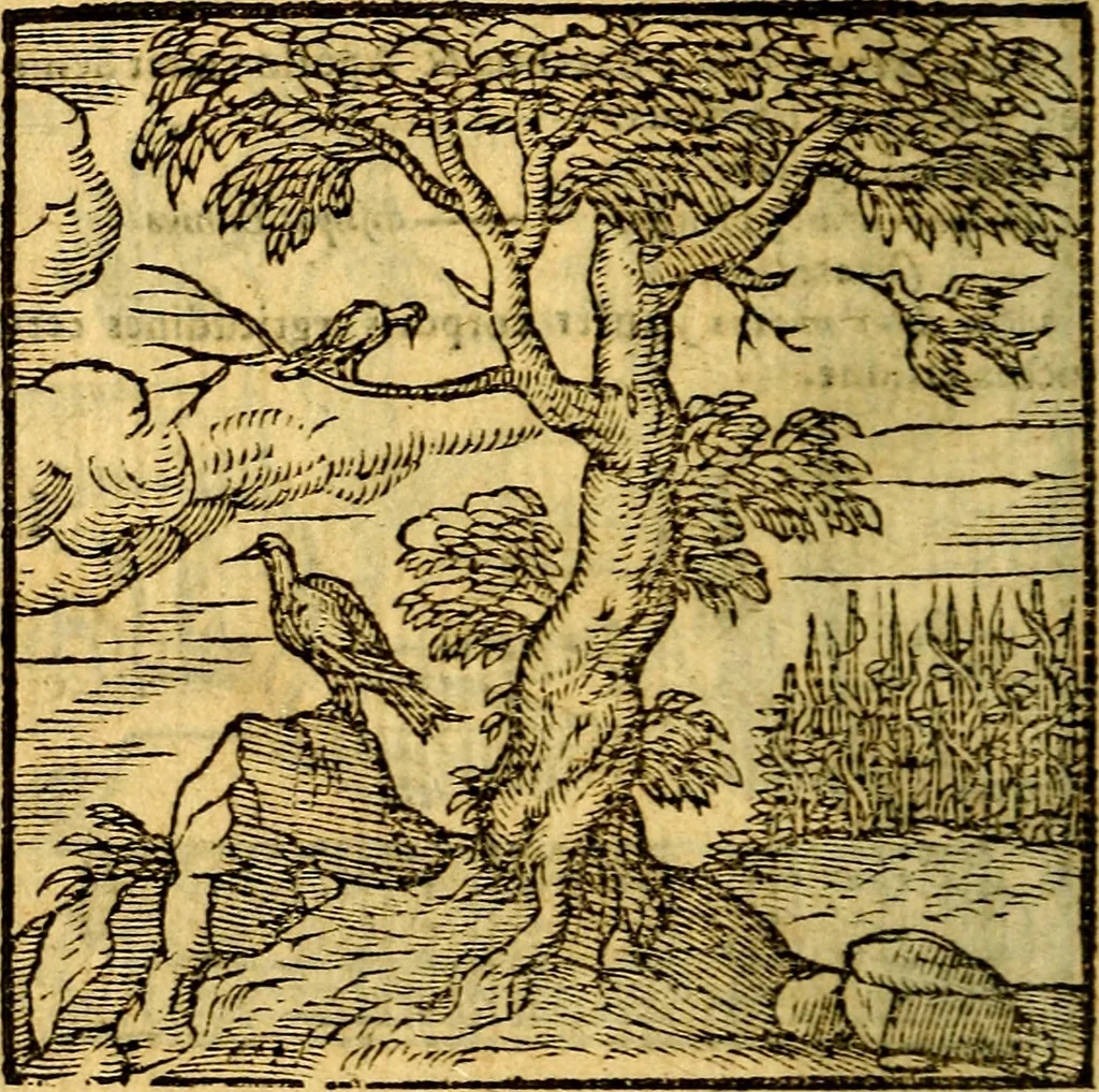 An illustration from Emblemata v. c. Andreae Alciati Mediolanensis iurisconsulti : cum facili & compe[n]diosa explicatione, qua obscura illustrantur, dubiáque omnia solvuntur, 1584, leaf 225