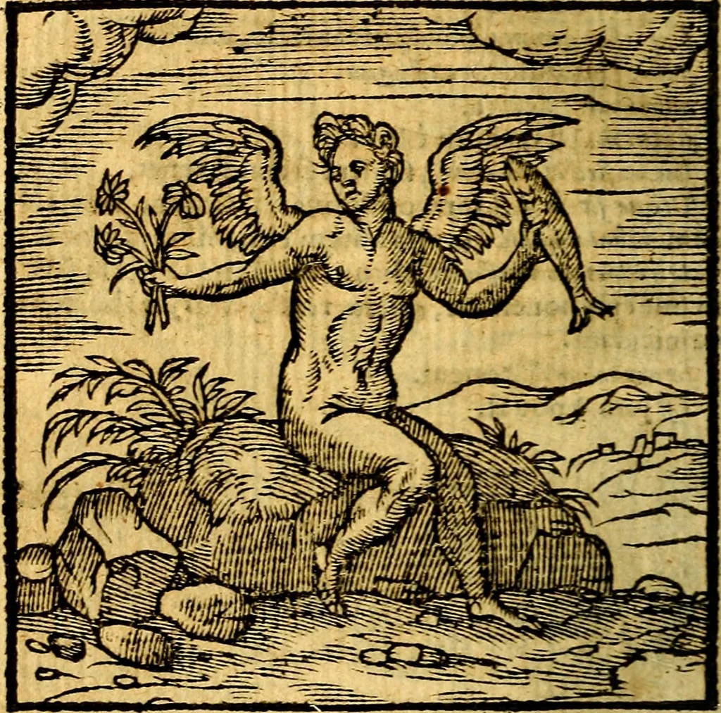 An illustration from Emblemata v. c. Andreae Alciati Mediolanensis iurisconsulti : cum facili & compe[n]diosa explicatione, qua obscura illustrantur, dubiáque omnia solvuntur, 1584, leaf 237