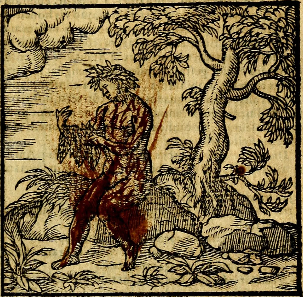 An illustration from Emblemata v. c. Andreae Alciati Mediolanensis iurisconsulti : cum facili & compe[n]diosa explicatione, qua obscura illustrantur, dubiáque omnia solvuntur, 1584, leaf 242
