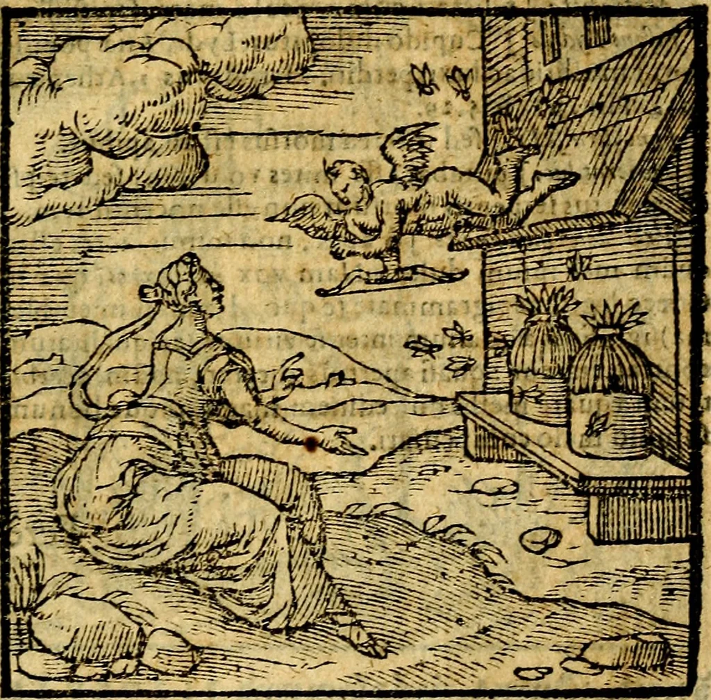 An illustration from Emblemata v. c. Andreae Alciati Mediolanensis iurisconsulti : cum facili & compe[n]diosa explicatione, qua obscura illustrantur, dubiáque omnia solvuntur, 1584, leaf 246