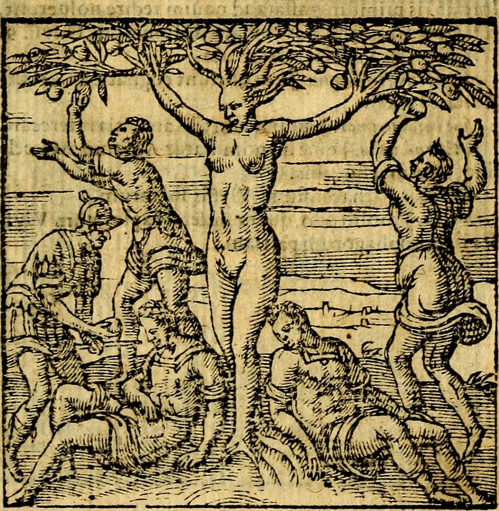 An illustration from Emblemata v. c. Andreae Alciati Mediolanensis iurisconsulti : cum facili & compe[n]diosa explicatione, qua obscura illustrantur, dubiáque omnia solvuntur, 1584, leaf 254