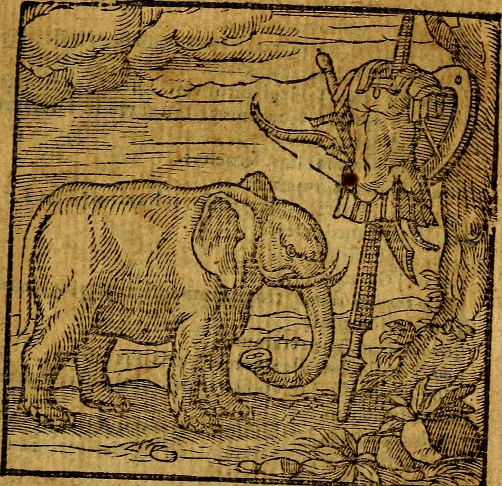 An illustration from Emblemata v. c. Andreae Alciati Mediolanensis iurisconsulti : cum facili & compe[n]diosa explicatione, qua obscura illustrantur, dubiáque omnia solvuntur, 1584, leaf 274