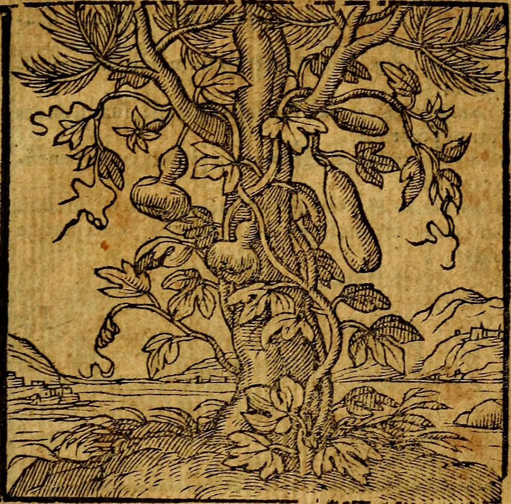 An illustration from Emblemata v. c. Andreae Alciati Mediolanensis iurisconsulti : cum facili & compe[n]diosa explicatione, qua obscura illustrantur, dubiáque omnia solvuntur, 1584, leaf 276