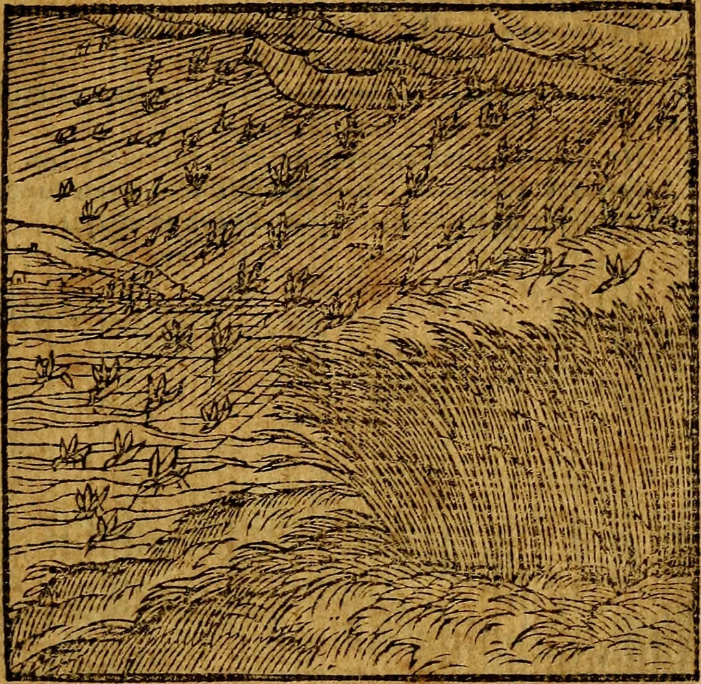 An illustration from Emblemata v. c. Andreae Alciati Mediolanensis iurisconsulti : cum facili & compe[n]diosa explicatione, qua obscura illustrantur, dubiáque omnia solvuntur, 1584, leaf 282