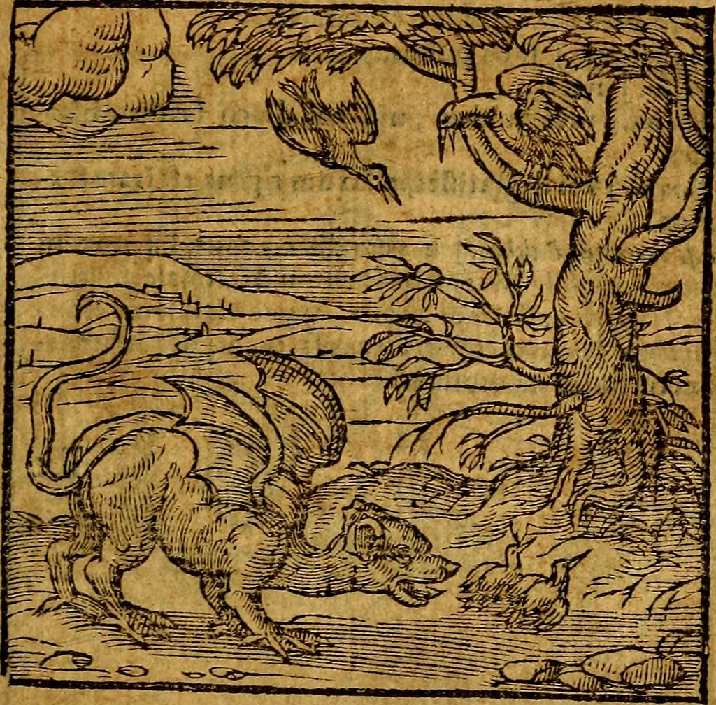 An illustration from Emblemata v. c. Andreae Alciati Mediolanensis iurisconsulti : cum facili & compe[n]diosa explicatione, qua obscura illustrantur, dubiáque omnia solvuntur, 1584, leaf 290
