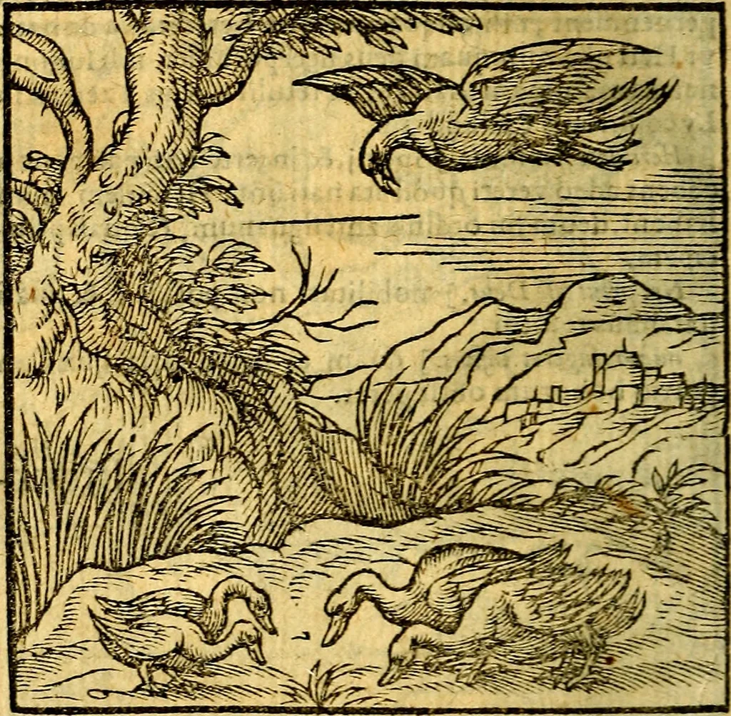 An illustration from Emblemata v. c. Andreae Alciati Mediolanensis iurisconsulti : cum facili & compe[n]diosa explicatione, qua obscura illustrantur, dubiáque omnia solvuntur, 1584, leaf 307