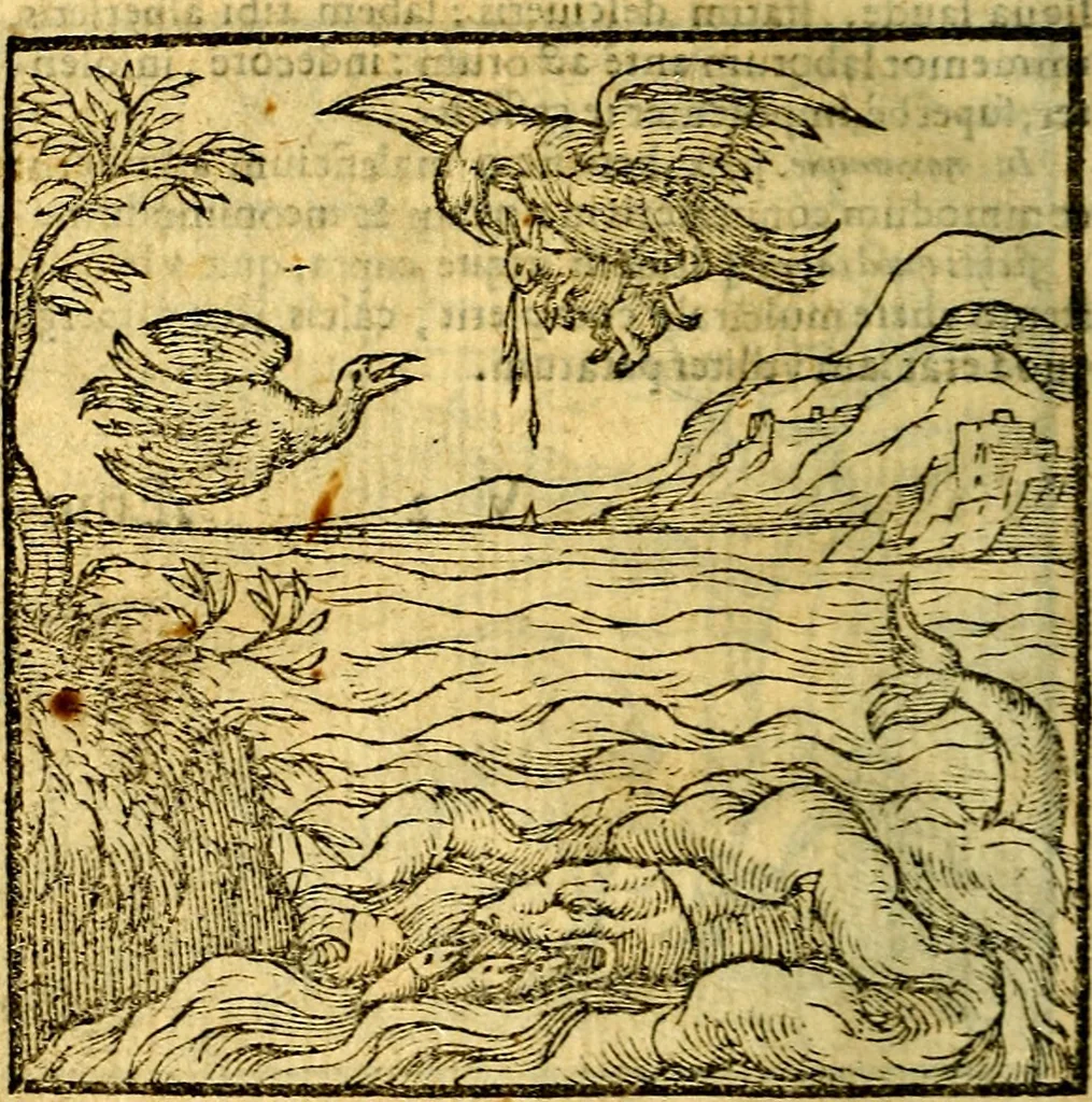 An illustration from Emblemata v. c. Andreae Alciati Mediolanensis iurisconsulti : cum facili & compe[n]diosa explicatione, qua obscura illustrantur, dubiáque omnia solvuntur, 1584, leaf 311