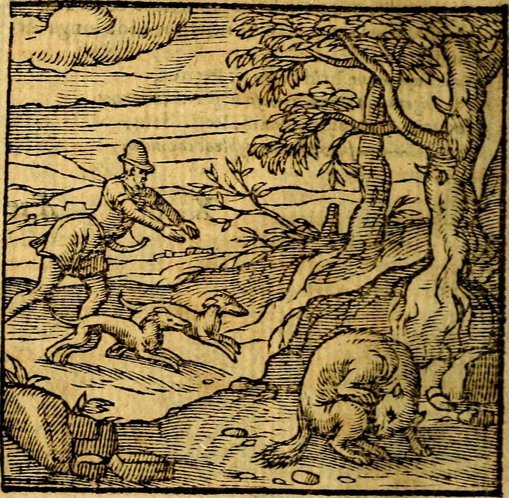 An illustration from Emblemata v. c. Andreae Alciati Mediolanensis iurisconsulti : cum facili & compe[n]diosa explicatione, qua obscura illustrantur, dubiáque omnia solvuntur, 1584, leaf 333