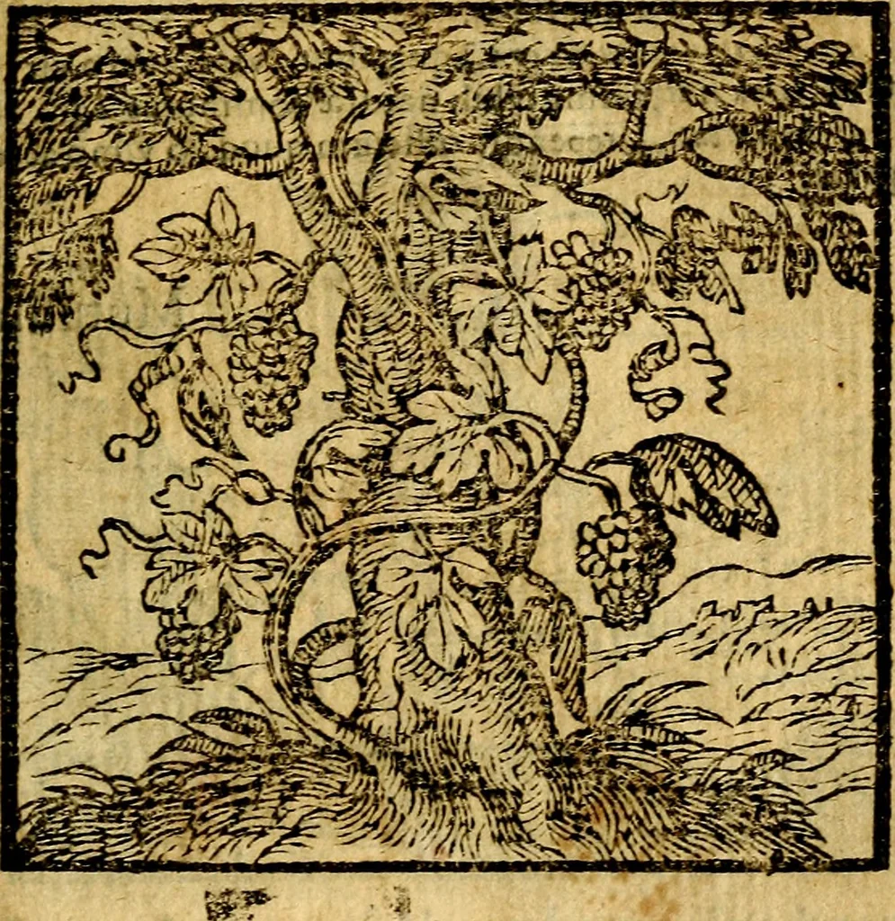 An illustration from Emblemata v. c. Andreae Alciati Mediolanensis iurisconsulti : cum facili & compe[n]diosa explicatione, qua obscura illustrantur, dubiáque omnia solvuntur, 1584, leaf 346