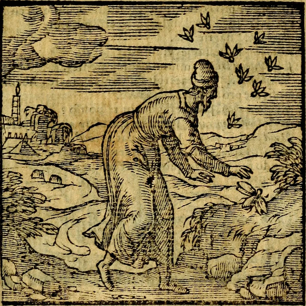 An illustration from Emblemata v. c. Andreae Alciati Mediolanensis iurisconsulti : cum facili & compe[n]diosa explicatione, qua obscura illustrantur, dubiáque omnia solvuntur, 1584, leaf 354