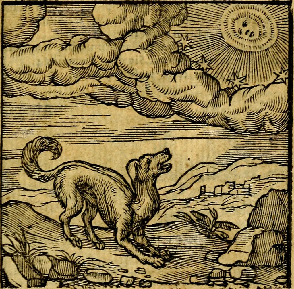 An illustration from Emblemata v. c. Andreae Alciati Mediolanensis iurisconsulti : cum facili & compe[n]diosa explicatione, qua obscura illustrantur, dubiáque omnia solvuntur, 1584, leaf 356