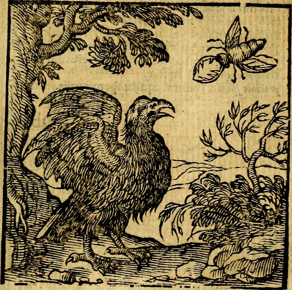 An illustration from Emblemata v. c. Andreae Alciati Mediolanensis iurisconsulti : cum facili & compe[n]diosa explicatione, qua obscura illustrantur, dubiáque omnia solvuntur, 1584, leaf 364