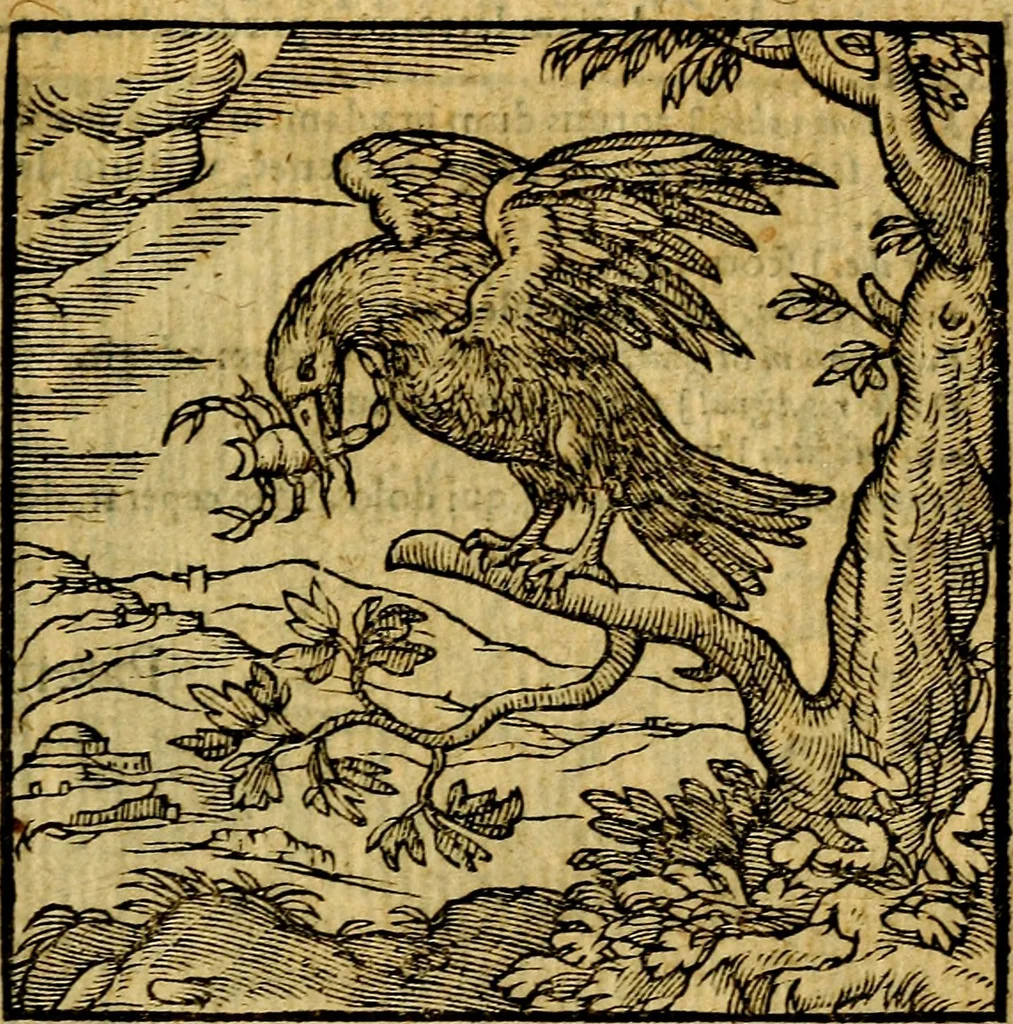 An illustration from Emblemata v. c. Andreae Alciati Mediolanensis iurisconsulti : cum facili & compe[n]diosa explicatione, qua obscura illustrantur, dubiáque omnia solvuntur, 1584, leaf 372