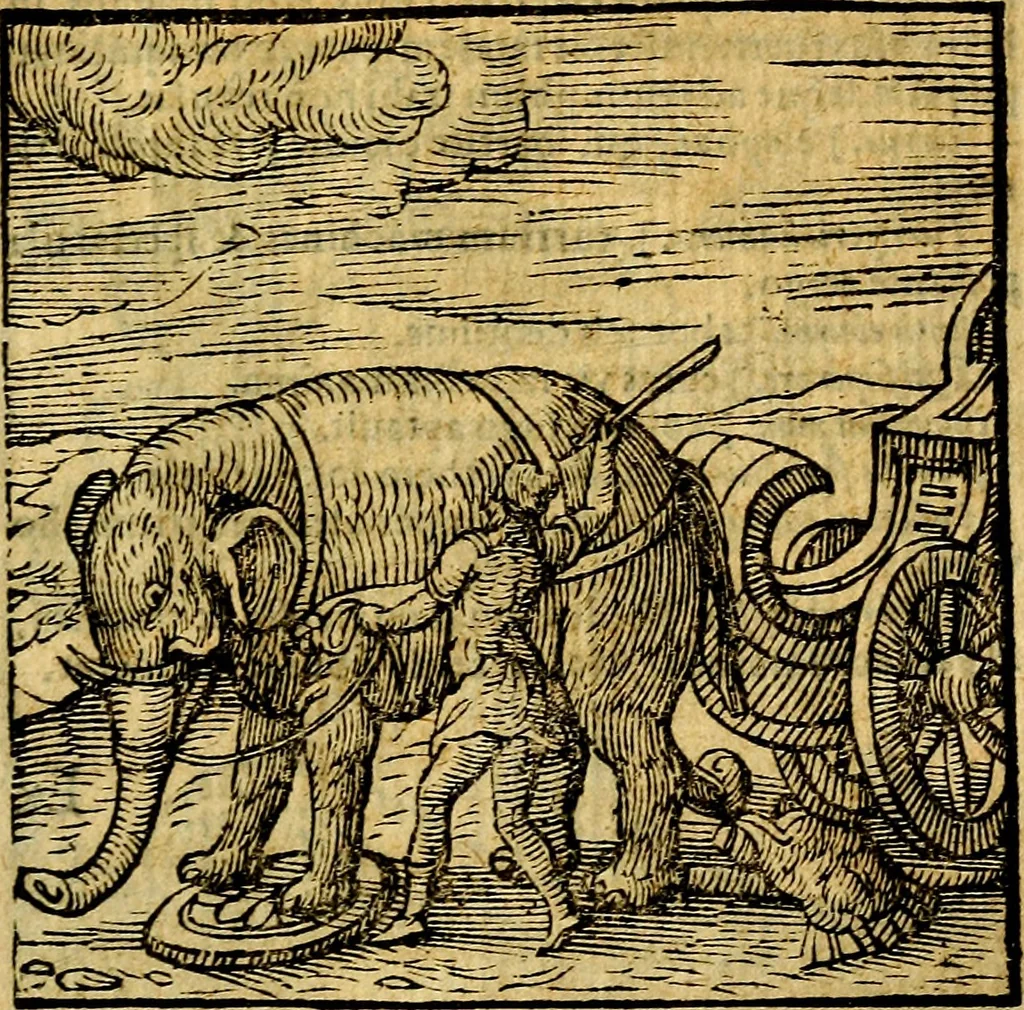 An illustration from Emblemata v. c. Andreae Alciati Mediolanensis iurisconsulti : cum facili & compe[n]diosa explicatione, qua obscura illustrantur, dubiáque omnia solvuntur, 1584, leaf 380