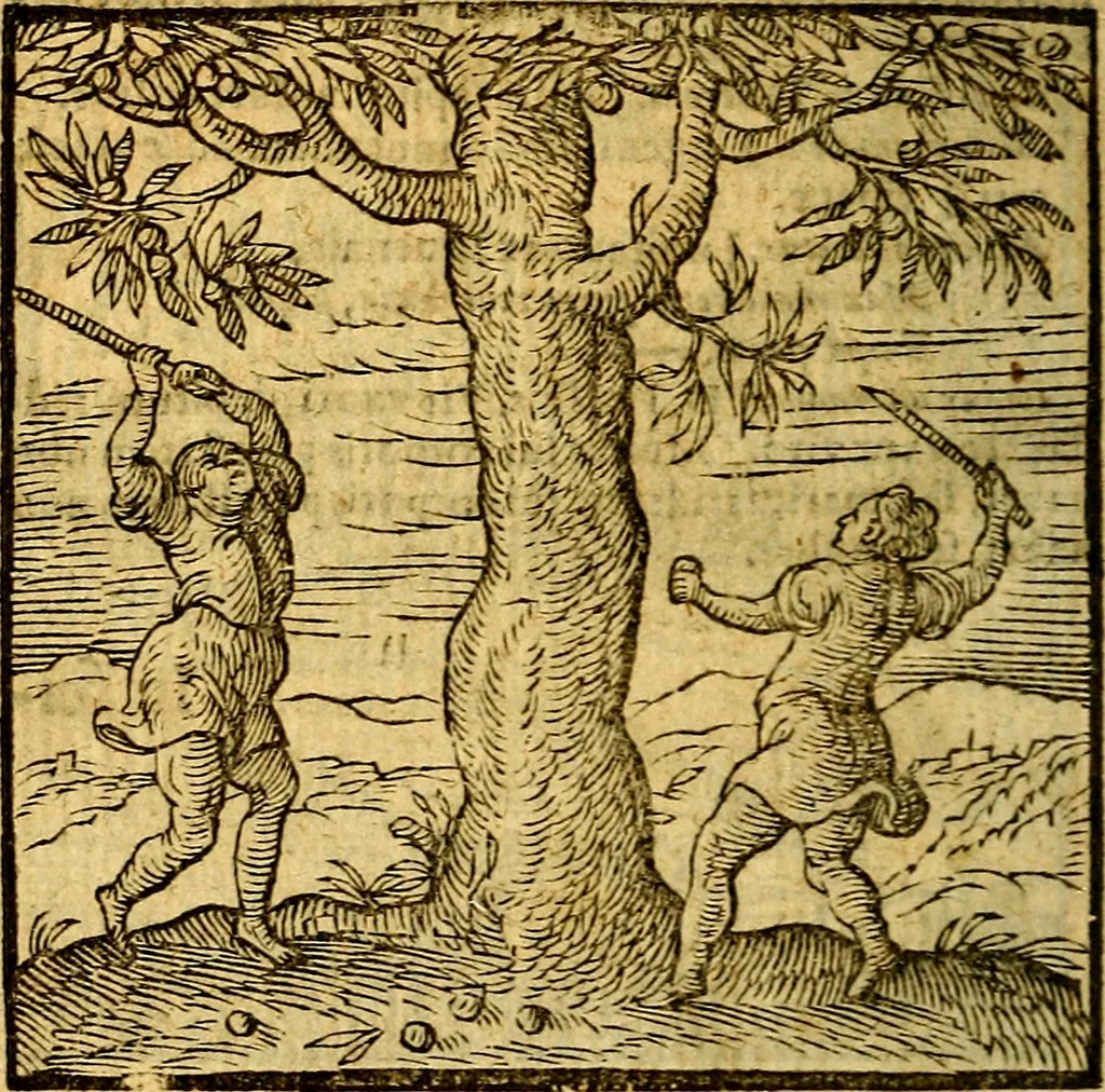An illustration from Emblemata v. c. Andreae Alciati Mediolanensis iurisconsulti : cum facili & compe[n]diosa explicatione, qua obscura illustrantur, dubiáque omnia solvuntur, 1584, leaf 415