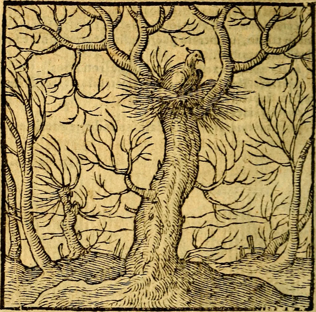 An illustration from Emblemata v. c. Andreae Alciati Mediolanensis iurisconsulti : cum facili & compe[n]diosa explicatione, qua obscura illustrantur, dubiáque omnia solvuntur, 1584, leaf 417