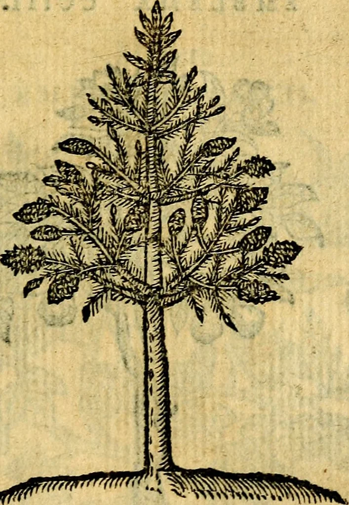 An illustration from Emblemata v. c. Andreae Alciati Mediolanensis iurisconsulti : cum facili & compe[n]diosa explicatione, qua obscura illustrantur, dubiáque omnia solvuntur, 1584, leaf 434