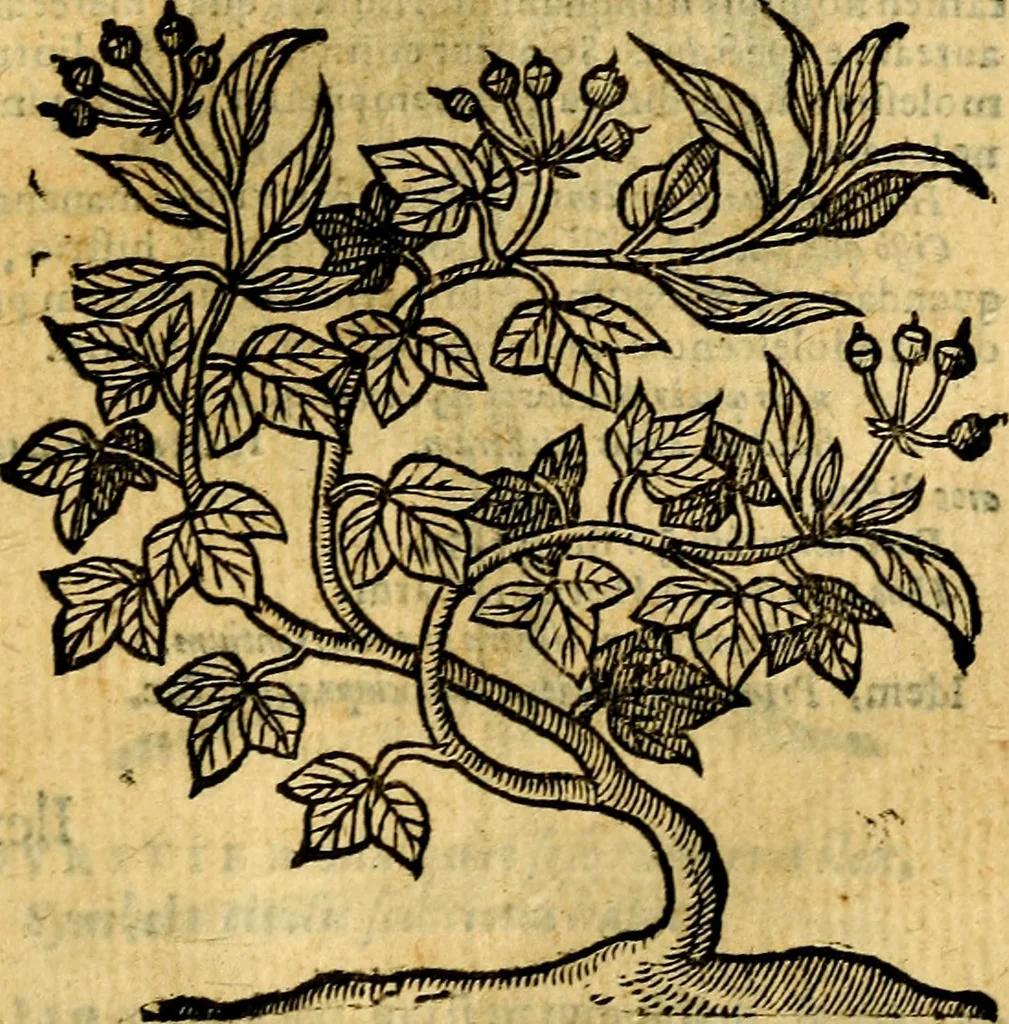 An illustration from Emblemata v. c. Andreae Alciati Mediolanensis iurisconsulti : cum facili & compe[n]diosa explicatione, qua obscura illustrantur, dubiáque omnia solvuntur, 1584, leaf 436